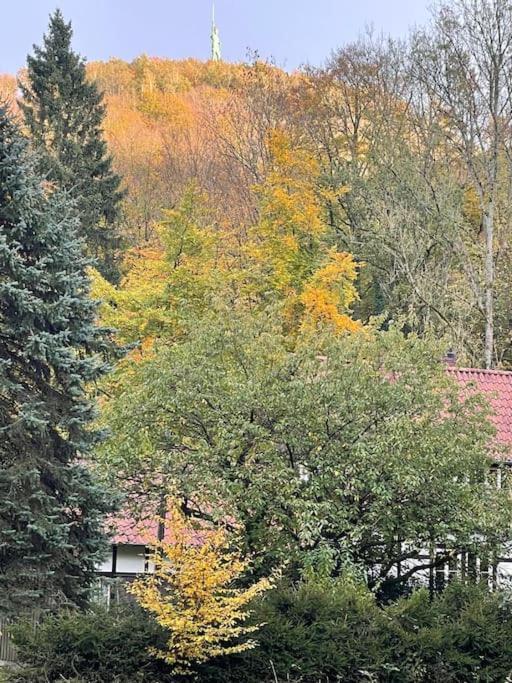 Ferienhaus Am Teutoburger Wald Detmold Exterior foto